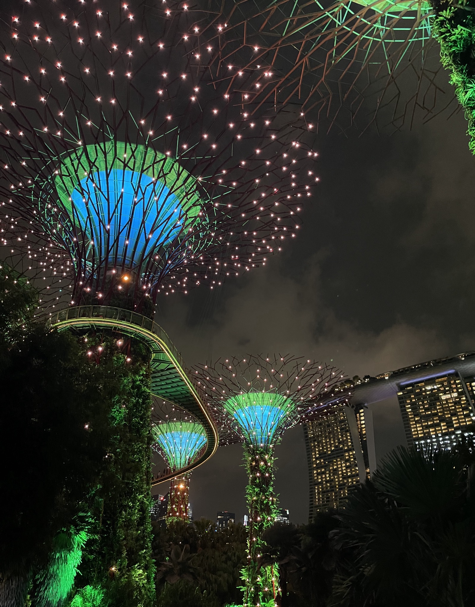 A picture Joyce took of the light show at Gardens by the Bay in Singapore