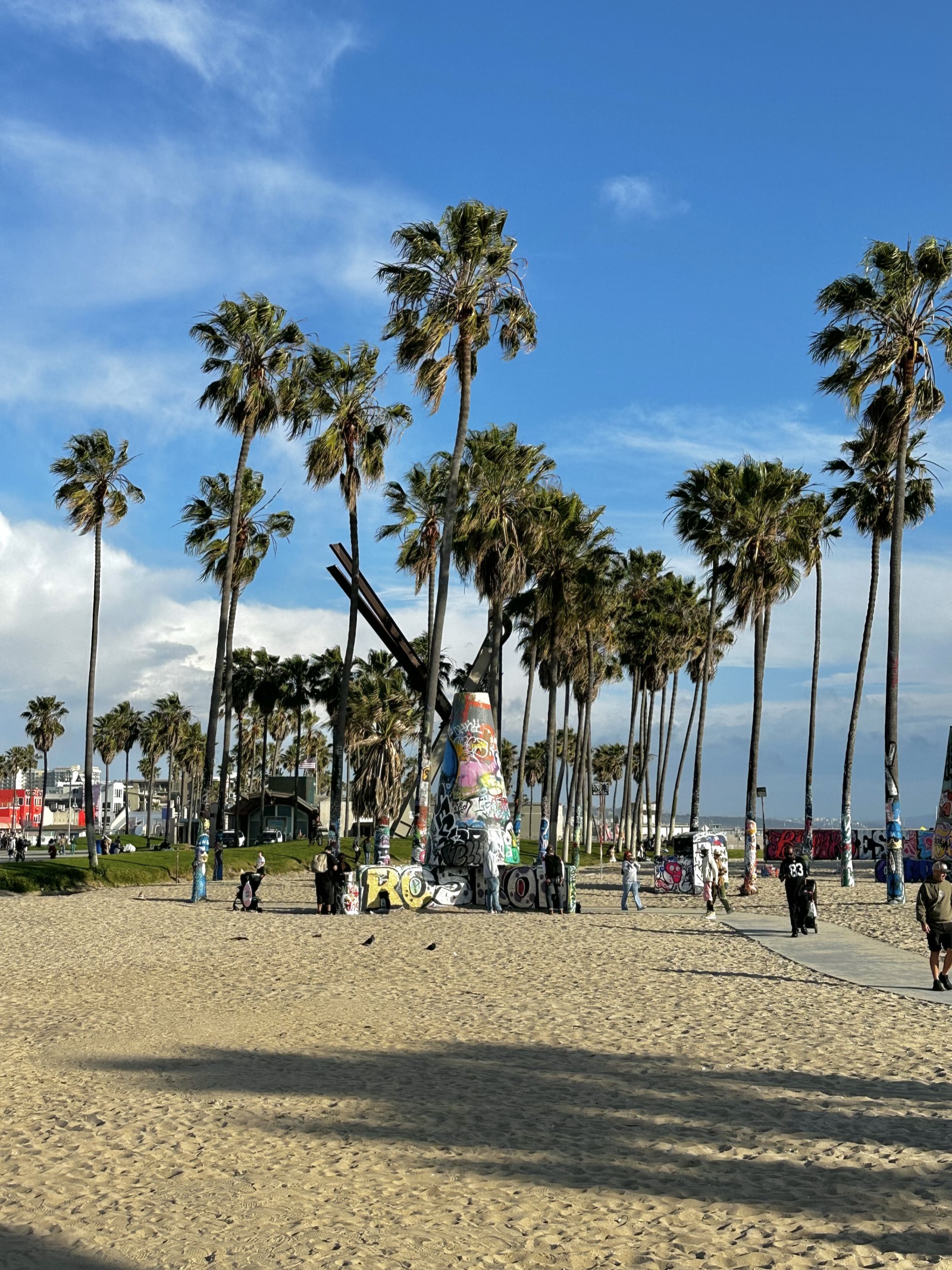 A picture Joyce took of the Venice Beach Boardwalk in Los Angeles, CA