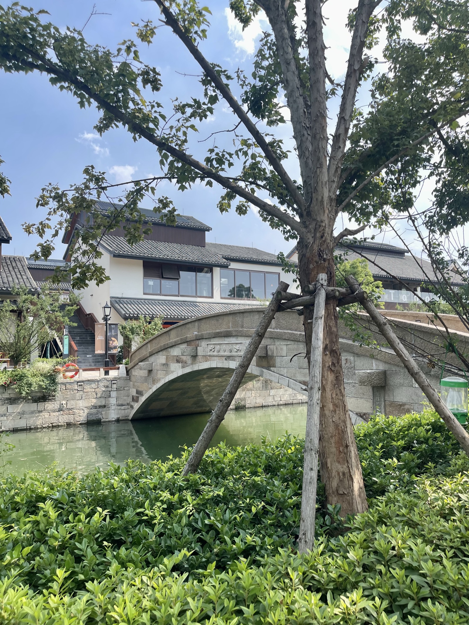 A picture Joyce took of the Xujing area in Shanghai, China