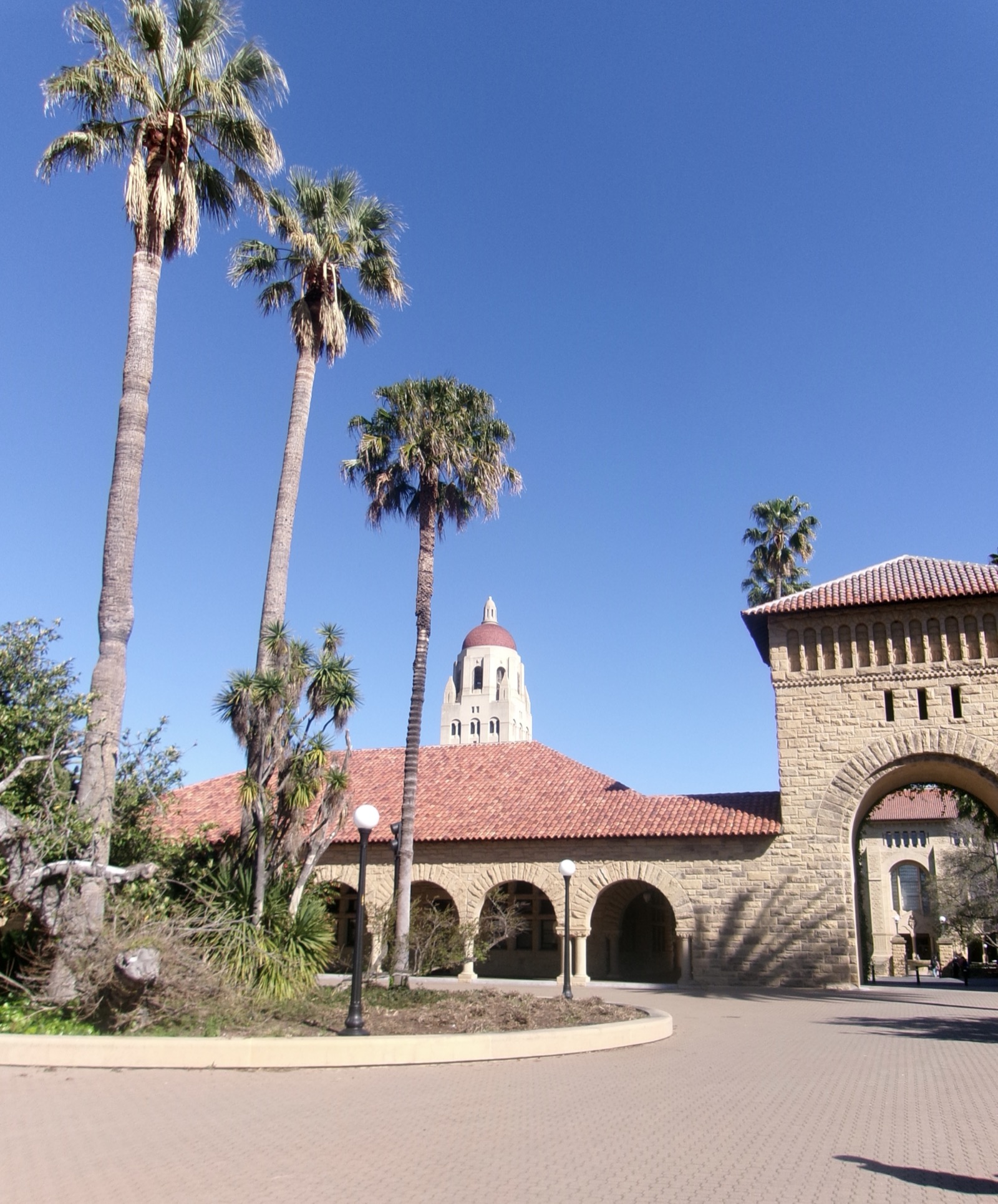 A picture Joyce took of the Stanford University campus in Palo Alto, CA
