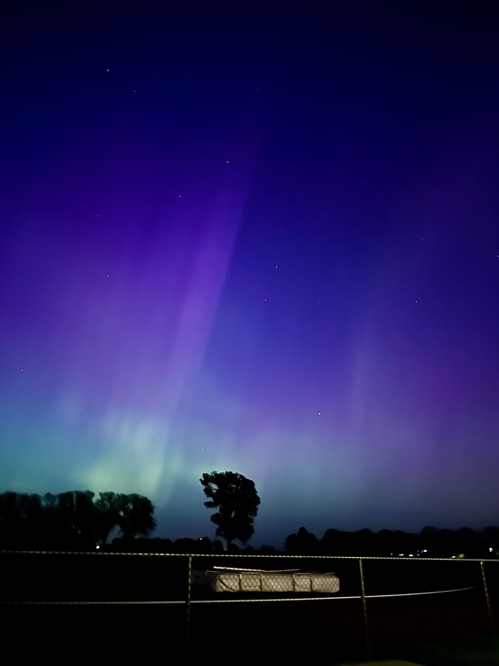 A picture Joyce took of the Northern Lights in Grinnell, IA with shades of blue, green, and purple